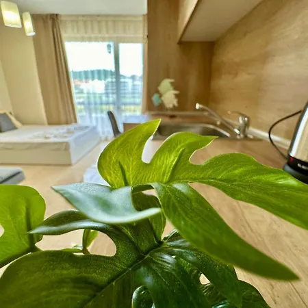 Menada Sea Dreams Apartment Sveti Vlas